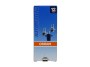BAX pirn 12V 1,5W BX8,4D Beige